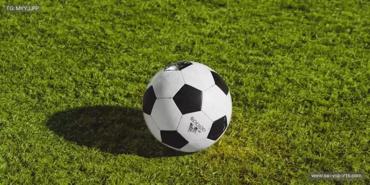 🏅专业赛事，成就你的冠军梦想！